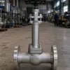 cryogenic gate valve