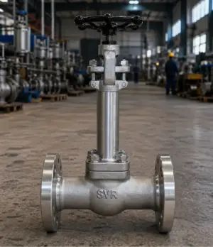 cryogenic gate valve
