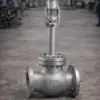 Cryogenic globe valve