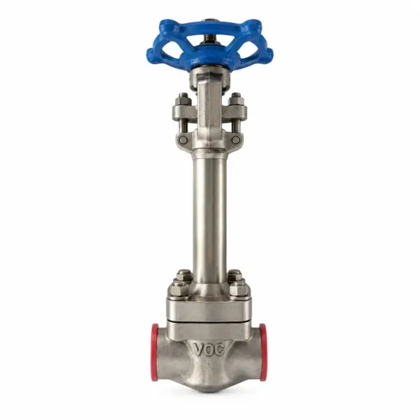cryognic globe valve Cryogenic Globe Valve manufacturer in Canada
