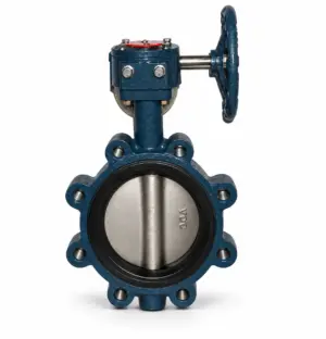 lug type butterfly valve Lug Type Butterfly Valve manufacturer in Canada