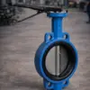 Wafer Butterfly Valve