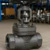 Forged Steel Globe Valve