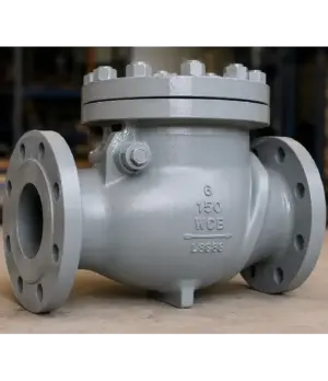 Swing Check Valve