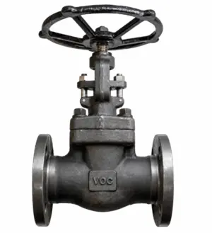 forged steel globe valve Forged steel globe valve