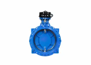 Double Eccentric Butterfly Valve