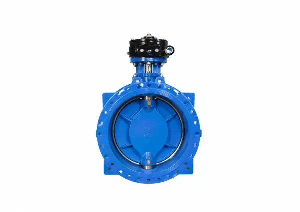 Double Eccentric Butterfly Valve