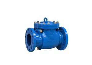 AWWA swing check Valve Manufacturer in Canada