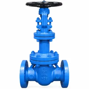 Bellows Seal Gate Valve