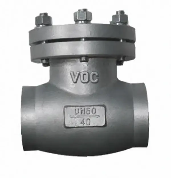 voc cryogenic check valve cryogenic check valve manufacturer in Canada